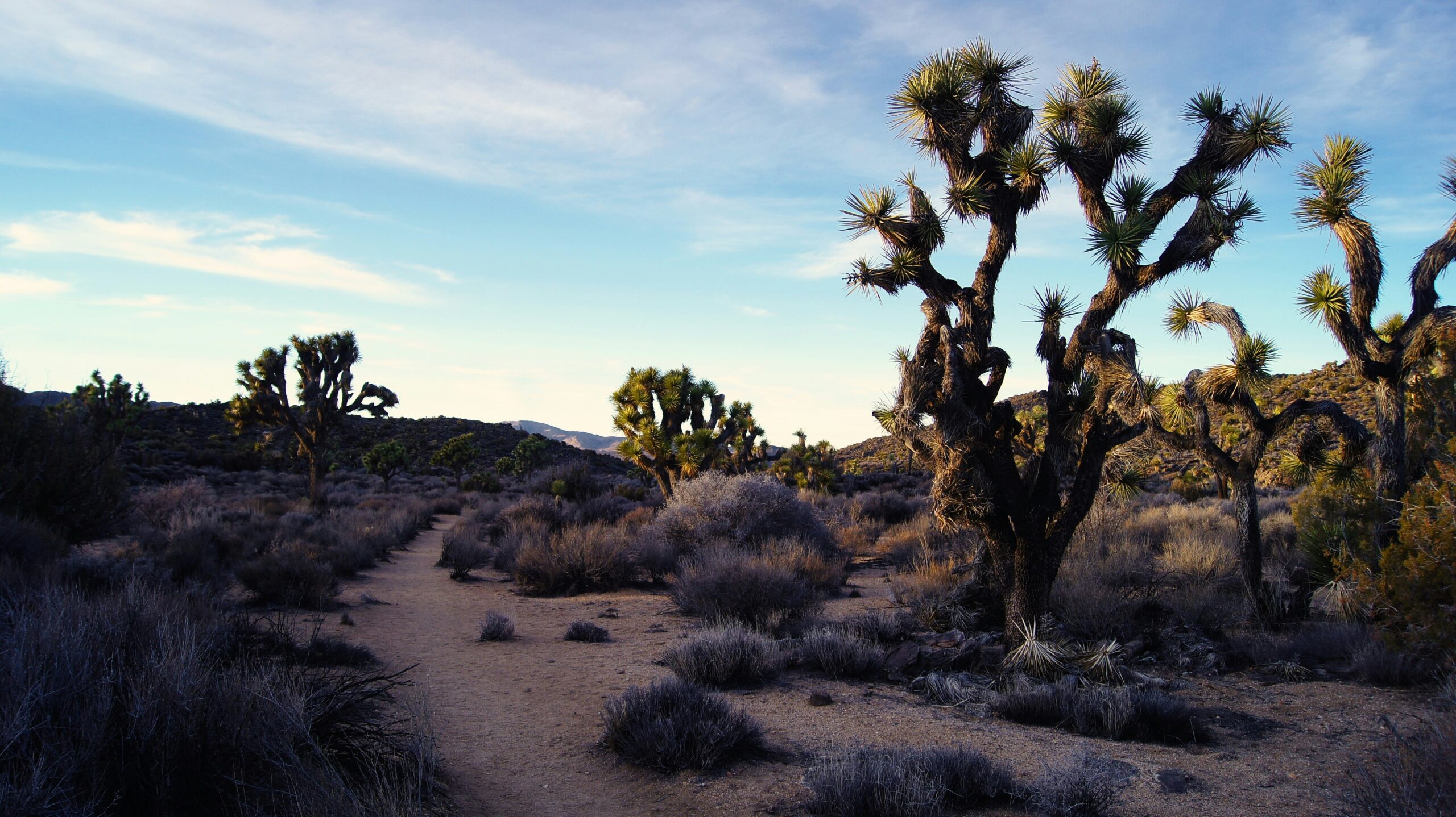 Riverside County